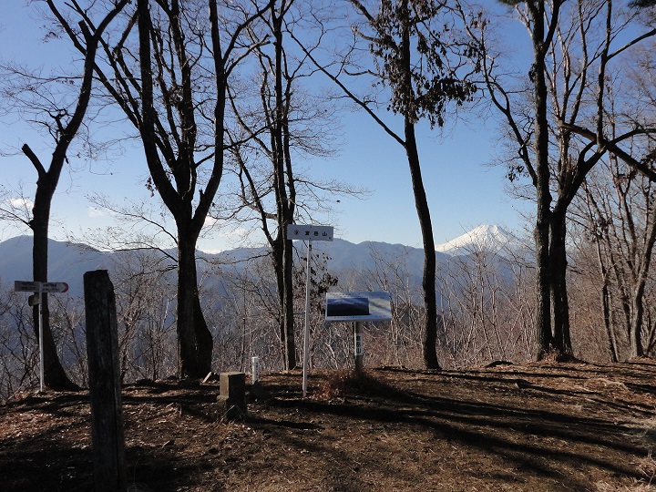倉岳山から見た富士山
