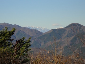 高川山から見た南アルプス