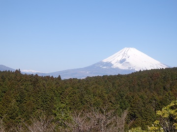 三島市眺望地点から見た富士山