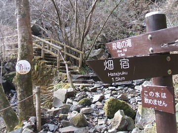 飛竜ノ滝への分岐
