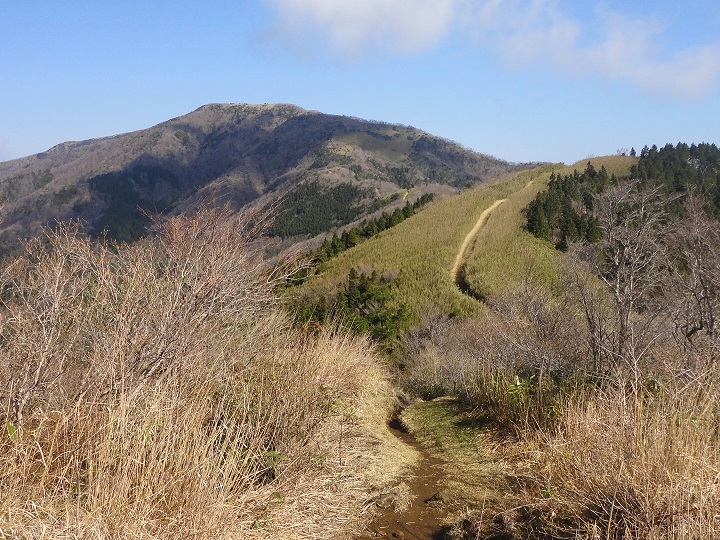 明神ヶ岳への道