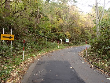 ���Ȃ�R�[�X����