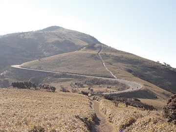 達磨山への道