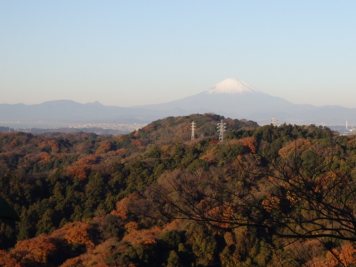 天園から見た箱根の山と富士山