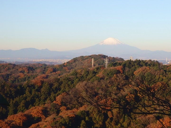 天園から見た箱根の山と富士山