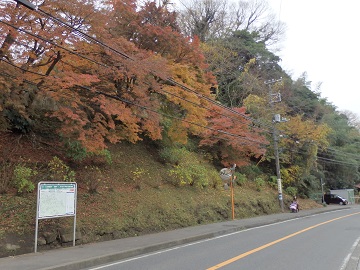 鎌倉街道の紅葉