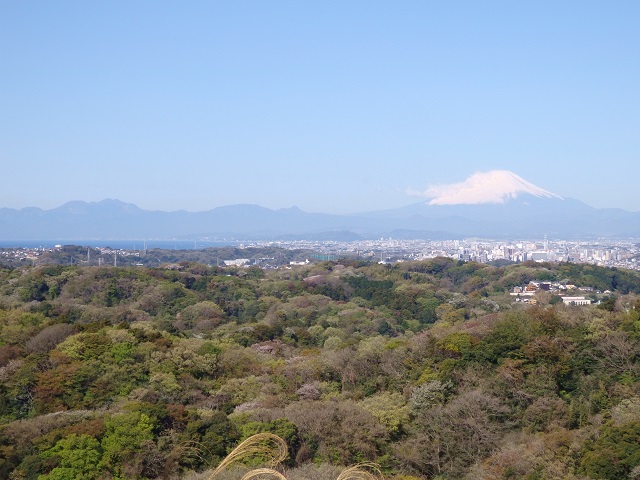 勝上献展望台から見た富士山
