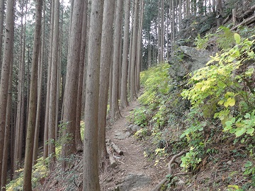 三室山への道