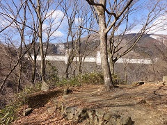 ダム側壁