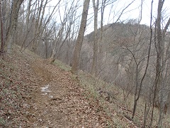 岩茸石山への道