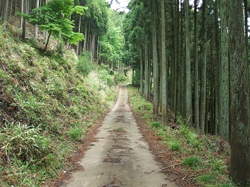 萩山林道